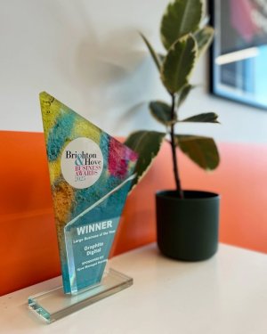 Brighton Hove Business Awards Medium